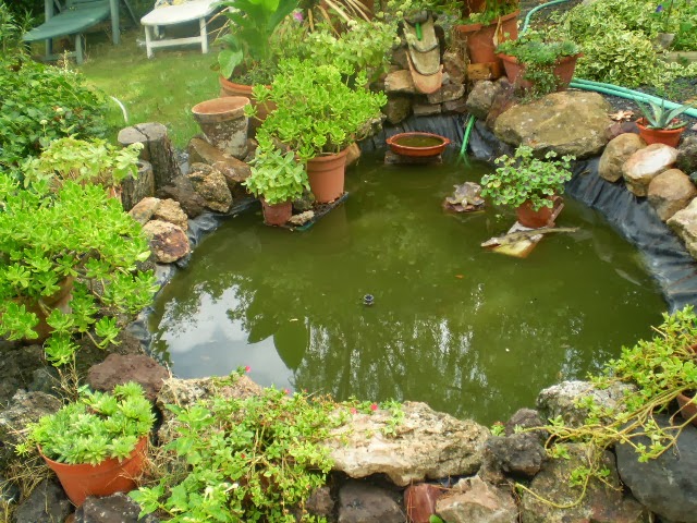 PA040475.JPG