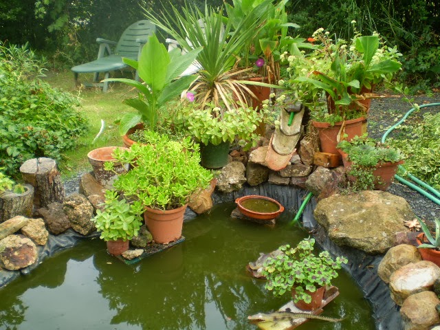 PA040476.JPG