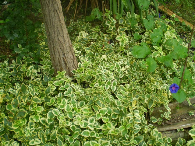 PA040478.JPG