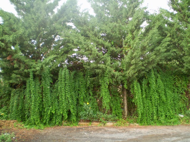 PA040503.JPG