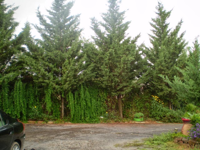 PA040504.JPG