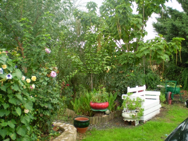 PA040505.JPG