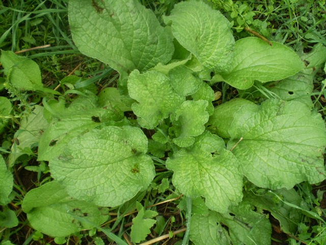 PA040514.JPG