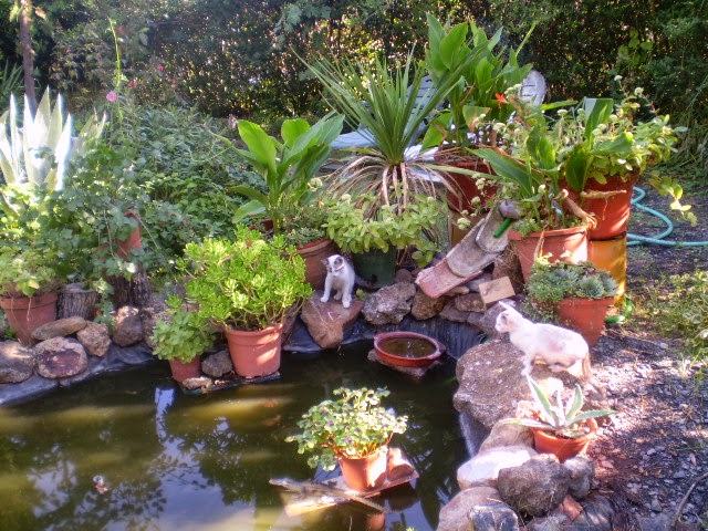 PA050491.JPG