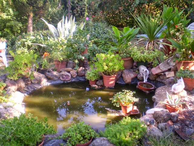 PA050492.JPG
