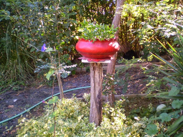 PA050494.JPG