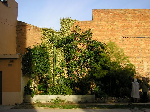 PA070055.JPG