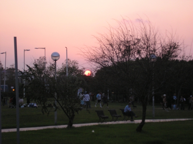 PA140006.JPG