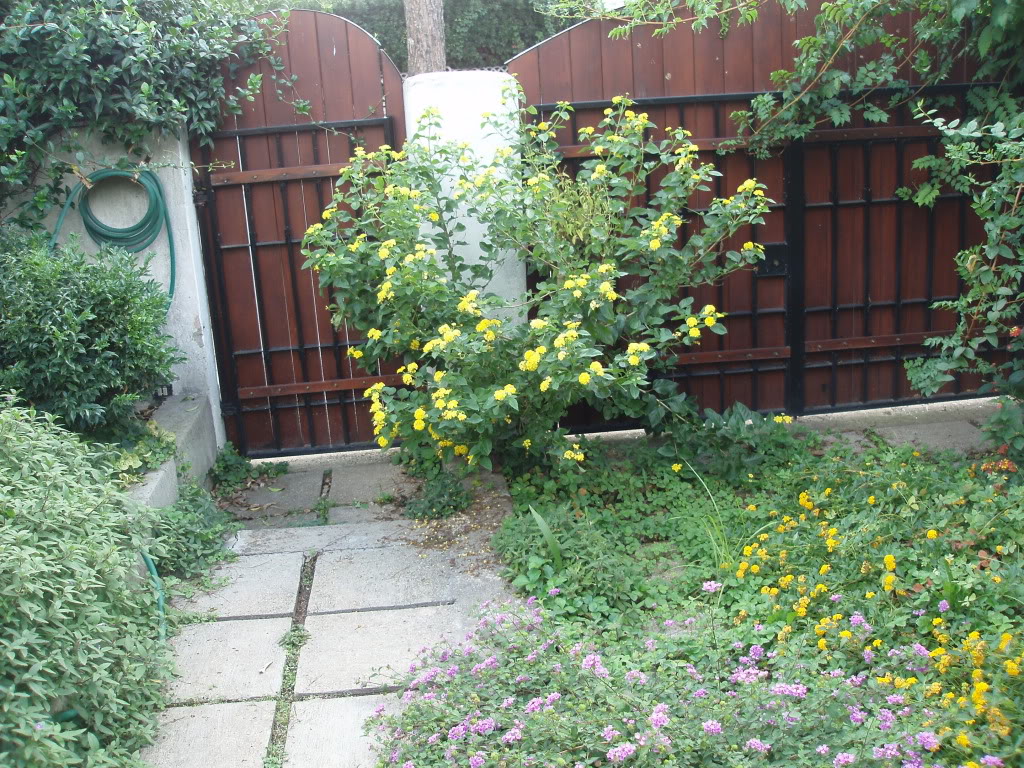PA170027.jpg