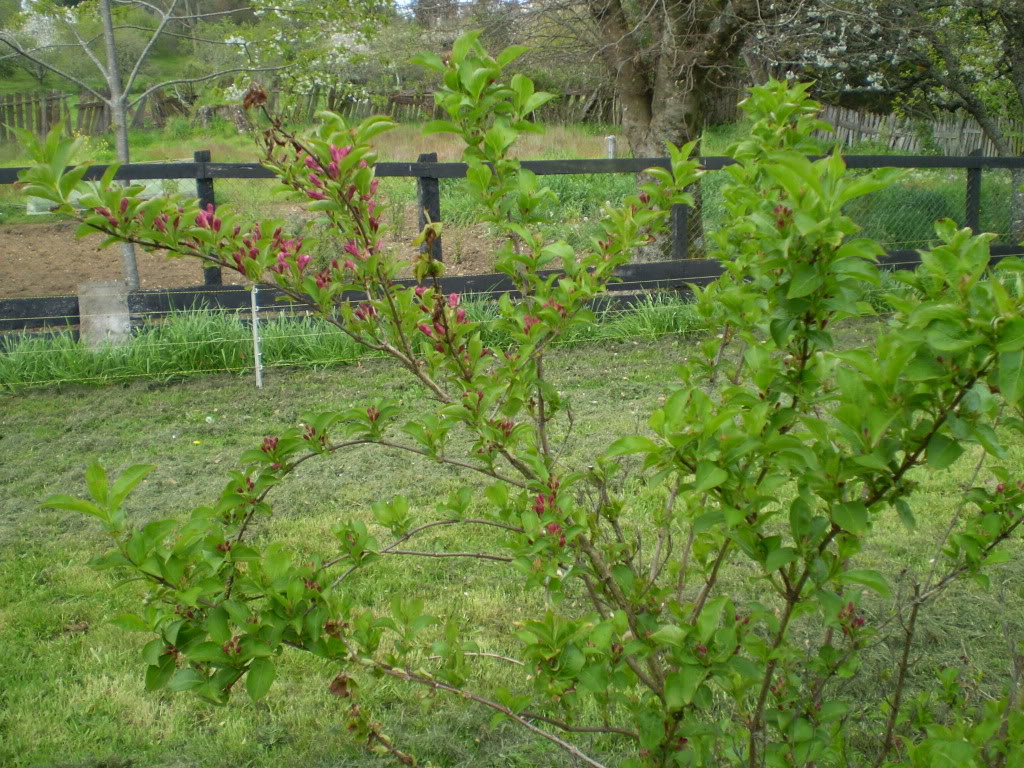PA180174.jpg