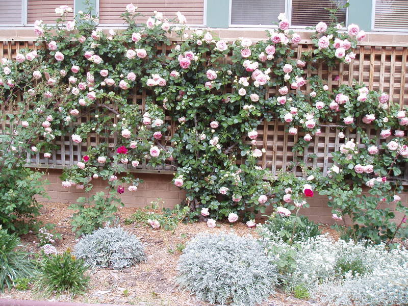 PA210025.jpg