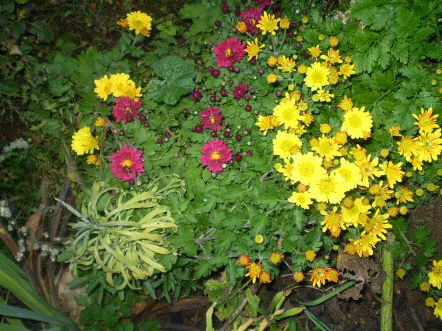 PA230563.JPG