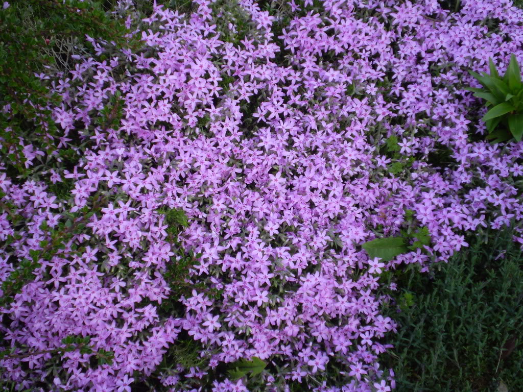 PA250214.jpg