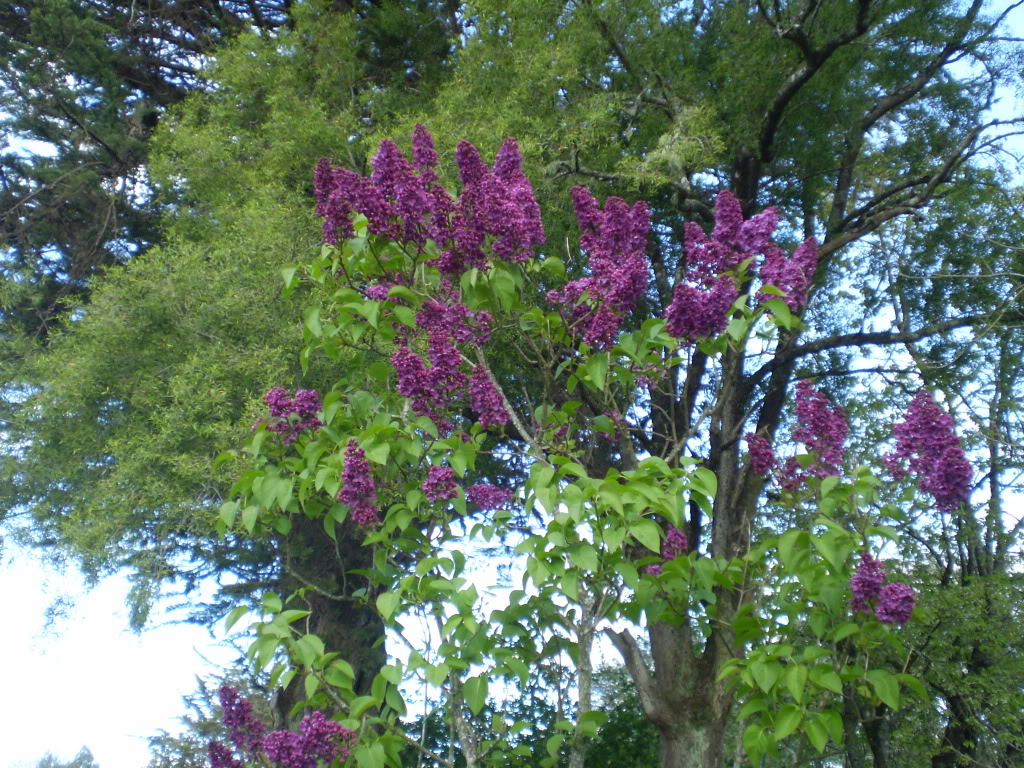 PA250237.jpg