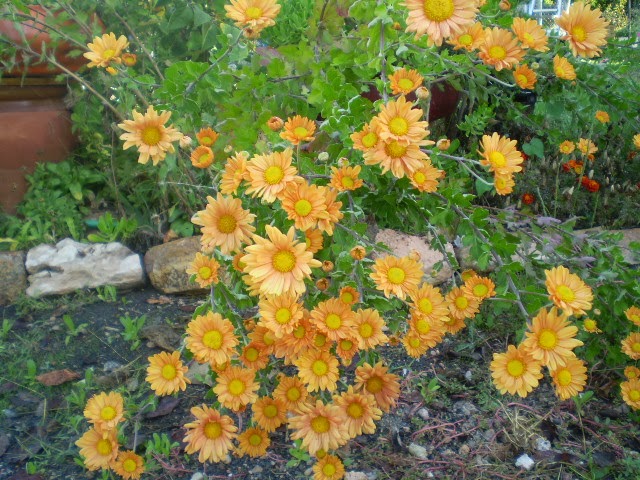 PA270585.JPG