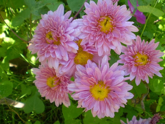 PA270588.JPG