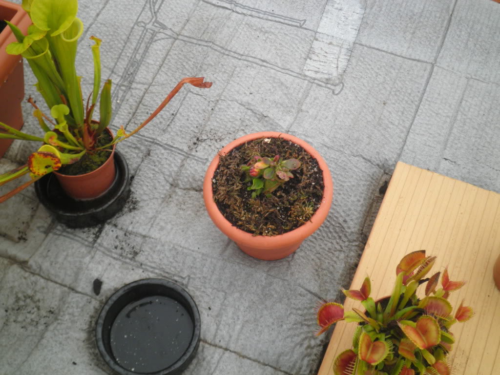 PA271331.jpg