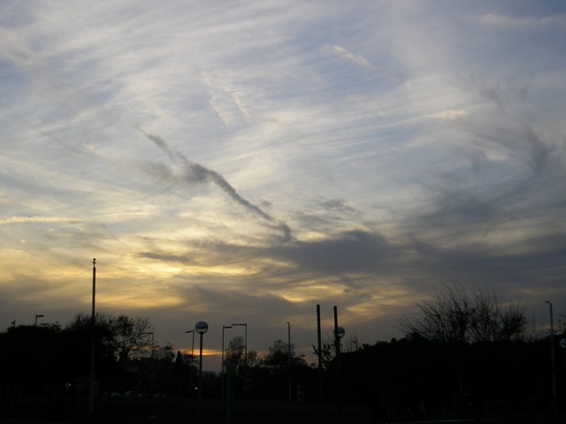 PA290003.JPG