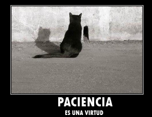 paciencia-en-el-seo.jpg
