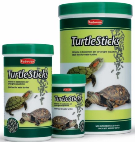 padovan-turtle-sticks-1255.jpg