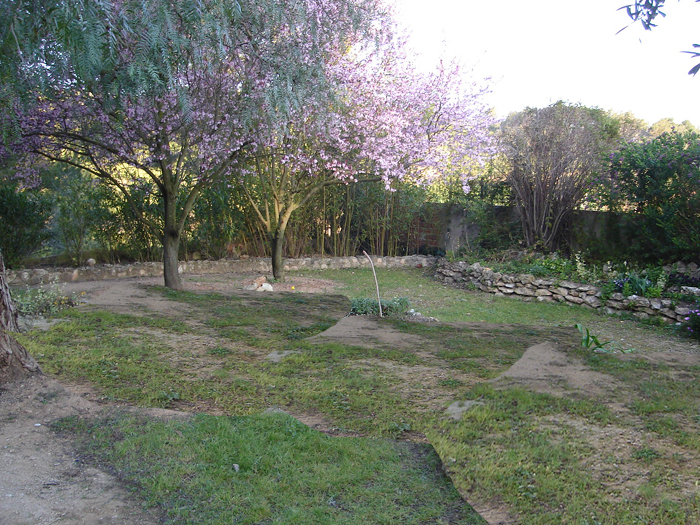 paisaje prunus.psd.jpg