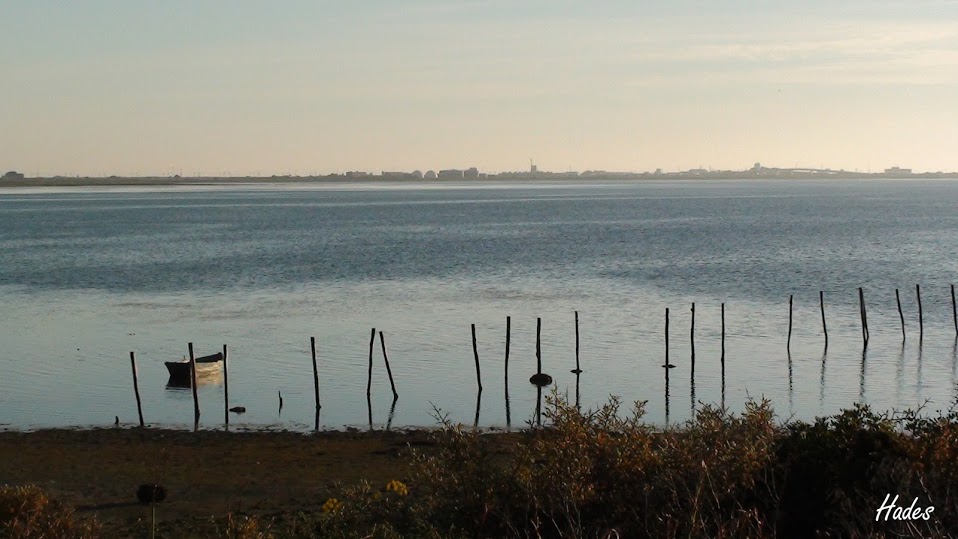 paisaje1.jpg