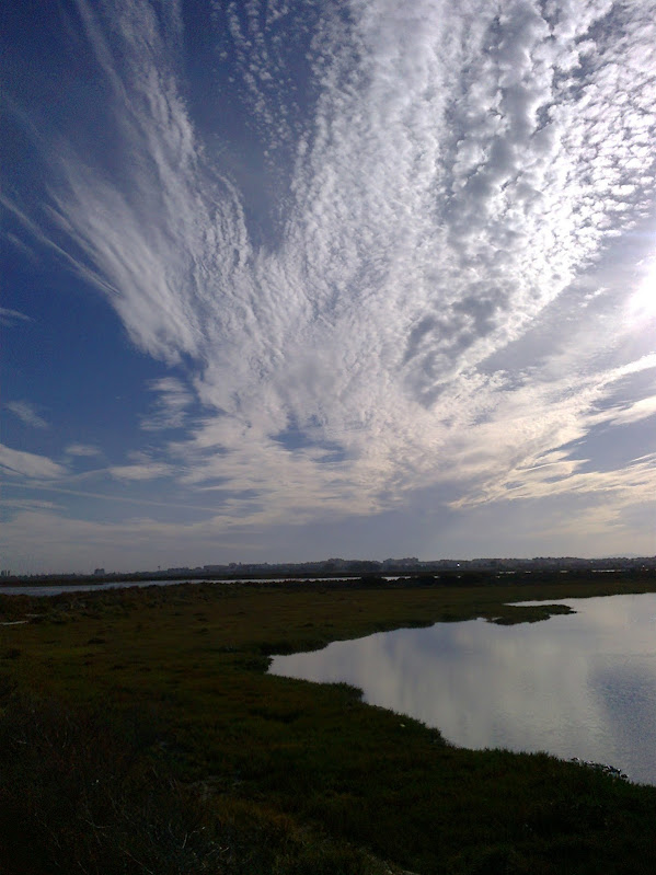 paisaje1.jpg