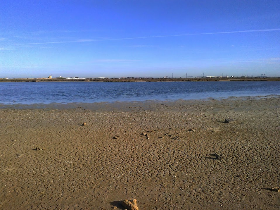 paisaje2.jpg
