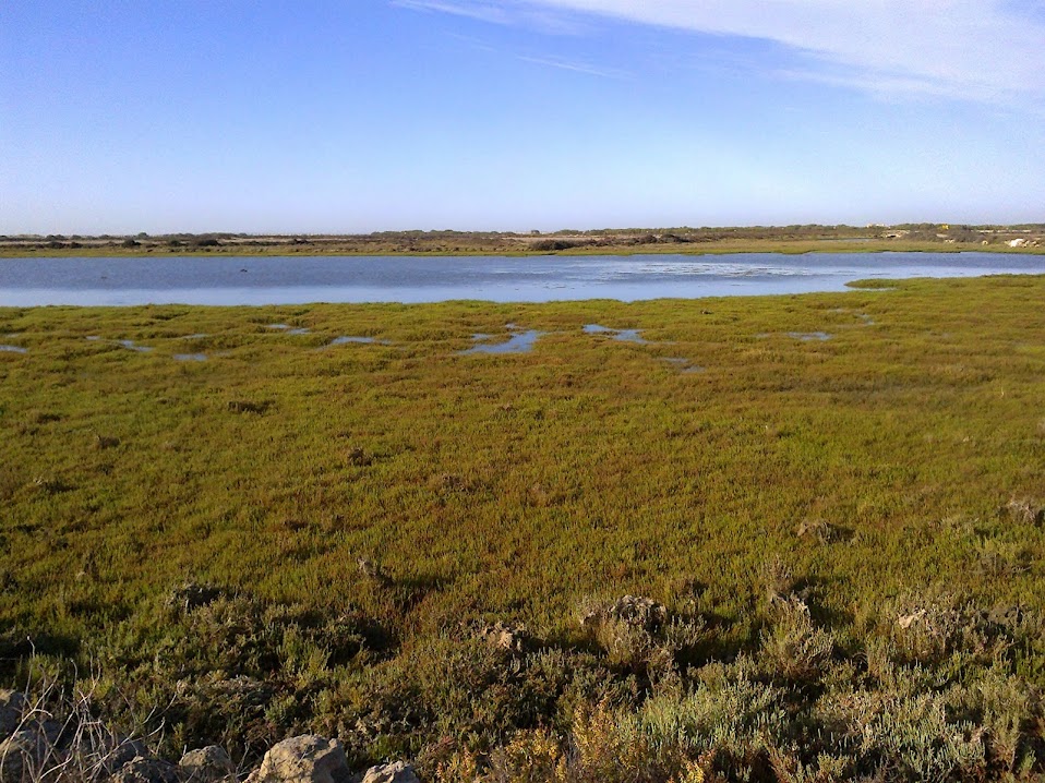 paisaje3.jpg