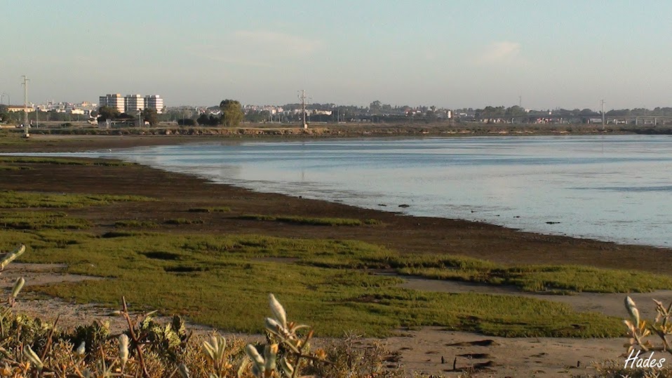 paisaje6.jpg
