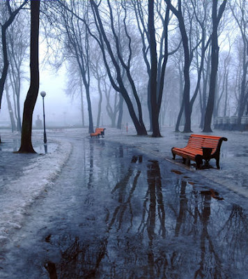 paisajes-del-invierno-bosque-y-parque-con-banca-y-nieve-----s.jpg