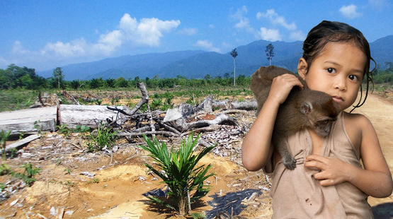 palawan-rodung-maedchen.jpg