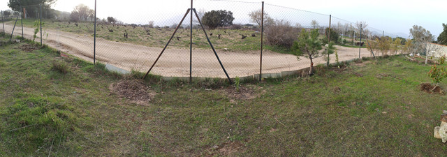 PANO-20210305-180521.jpg
