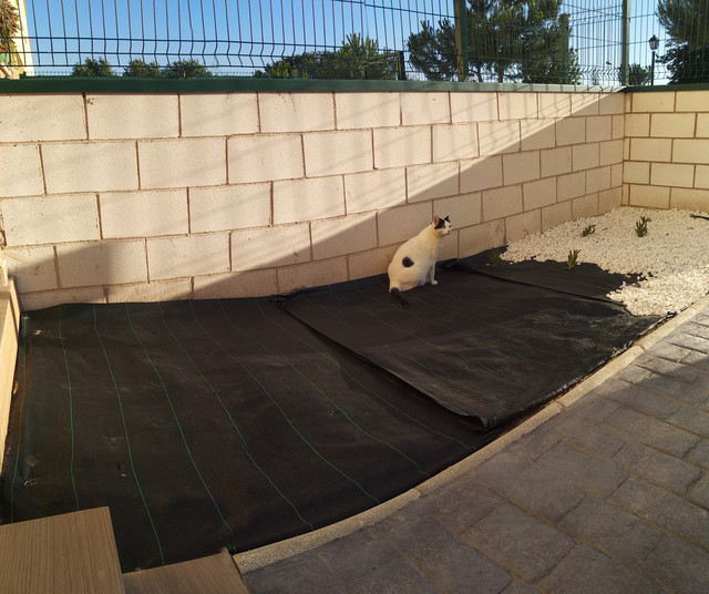 PANO-20210628-202557.jpg