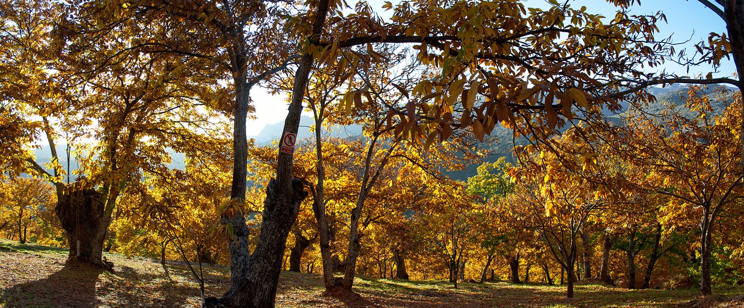 Panorama3.jpg