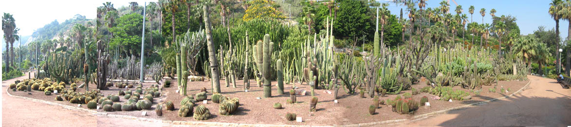 panoramica%7E2.jpg