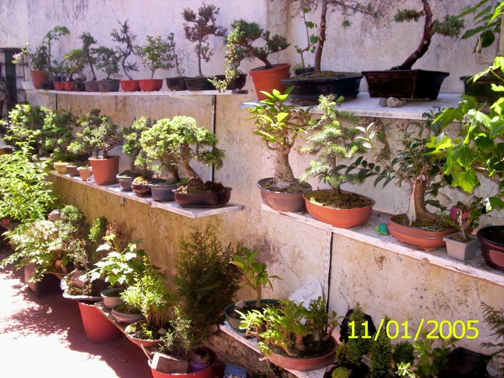 panoramica_15-10-56.jpg