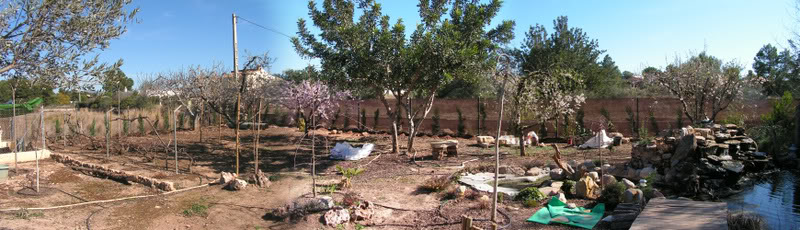panoramicaalmendrosestanque.jpg