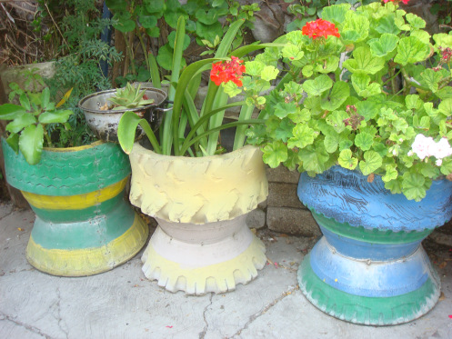 panoramicacopas4.jpg