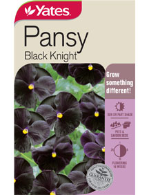 pansy-black-knight.jpg
