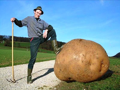 papa%2Bgigante.jpg