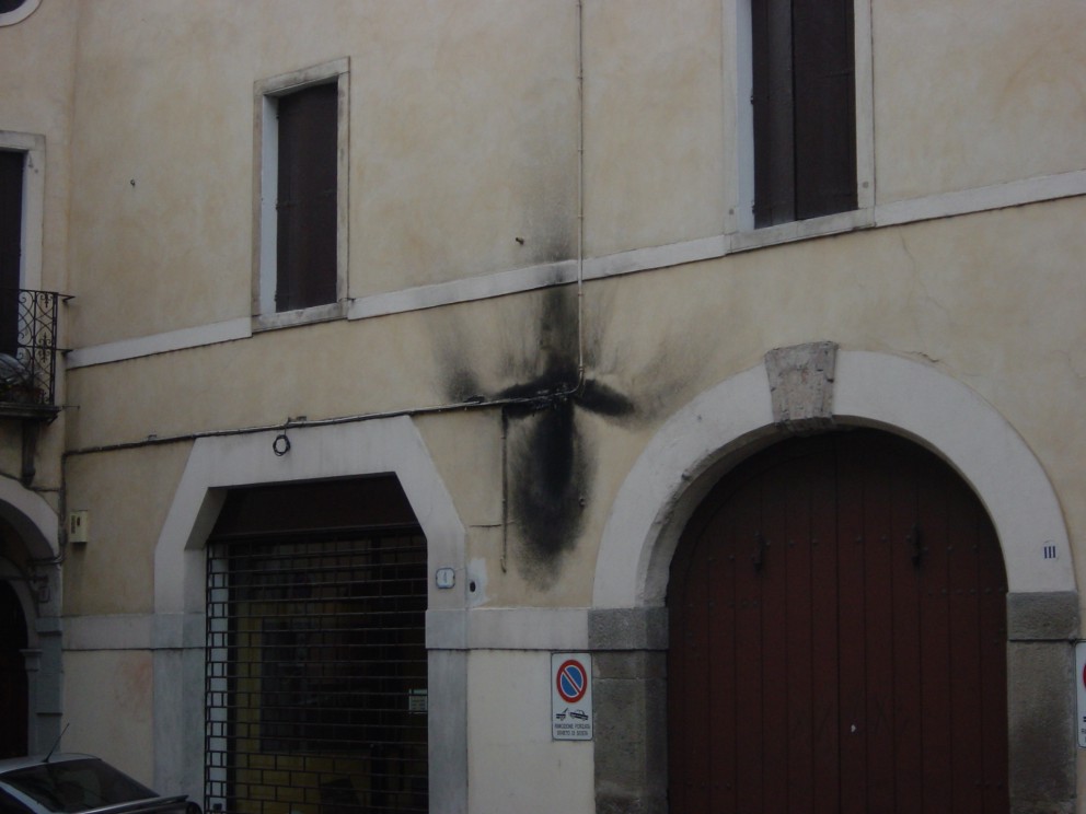 paphio%20pared%20petita.jpg