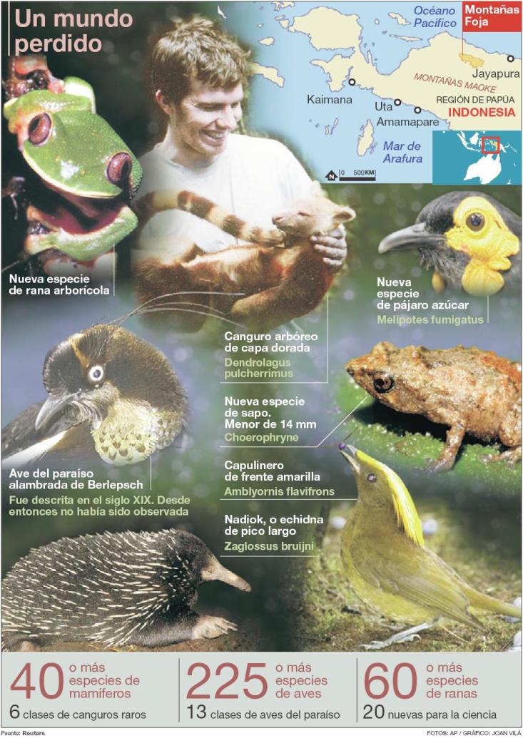 papua_grafico%7E4.JPG