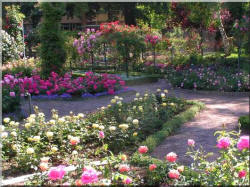 parc_roseraie039_small.jpg