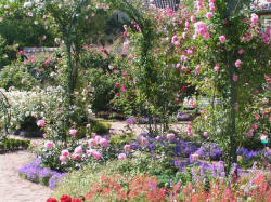 parc_roseraie066_small.jpg
