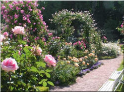 parc_roseraie070_small.jpg