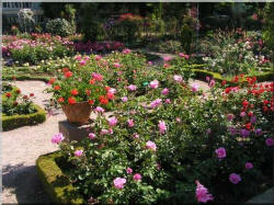 parc_roseraie082_small.jpg