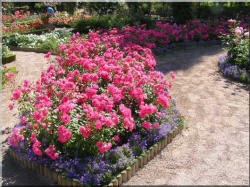parc_roseraie094_small.jpg