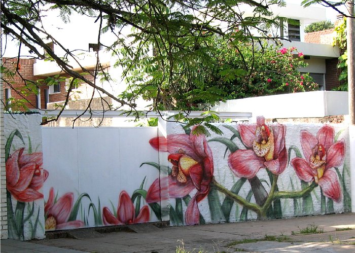 Pared.jpg