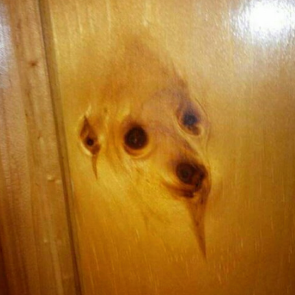 pareidolia-01.png